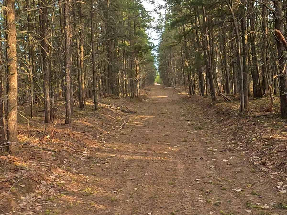 N Sheldrake River Road trail photo