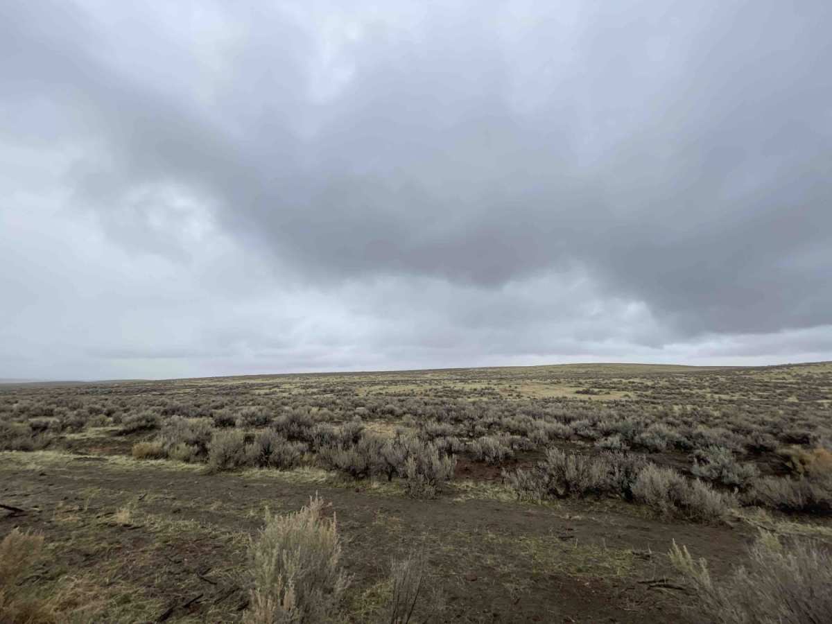 Danner Loop to Cow Creek photo 6