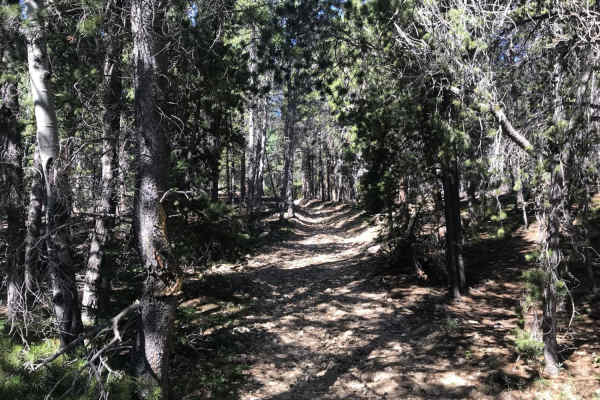 Buckeye Mountain Road 512.1