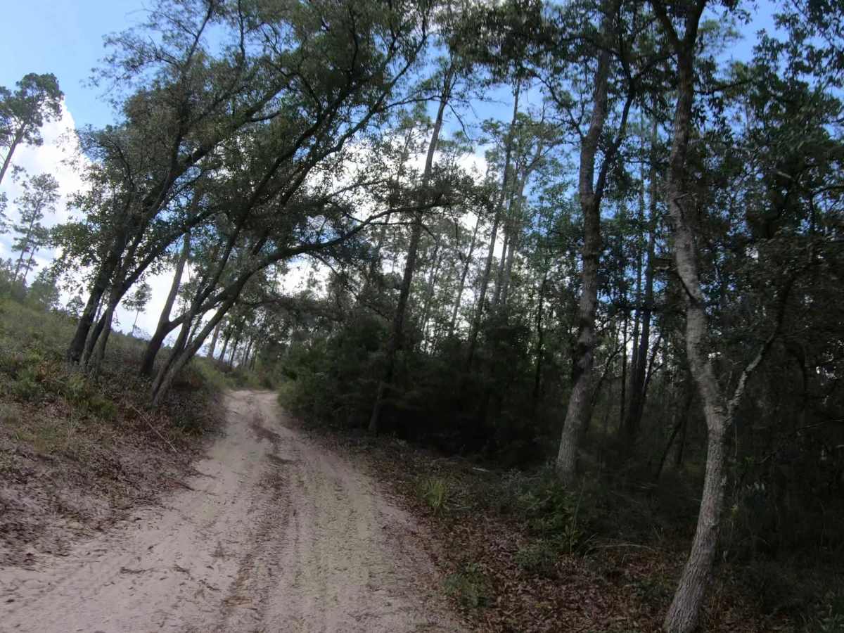FS 11B photo 6