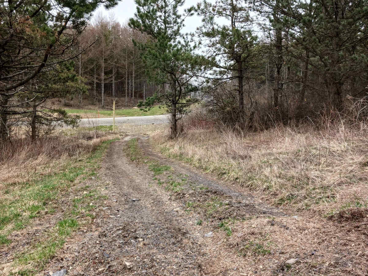 Trail 4X - Rock Run Recreation Area photo 2