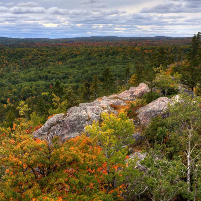 Near Hogback Mountain Near Hogback Mountain