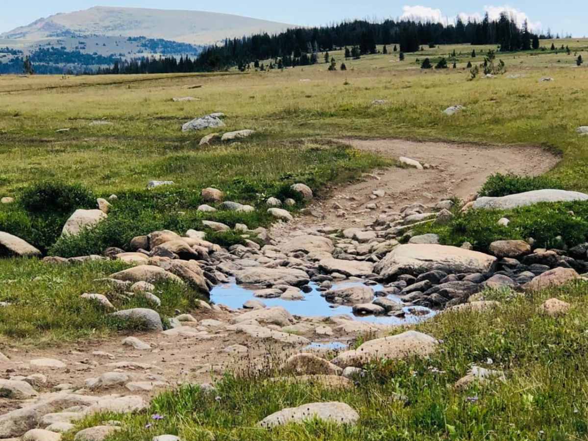 Fantan Loop to Sawtooth Lake photo 5