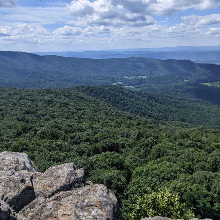 Near South and North Mount Marshall Out-and-Back