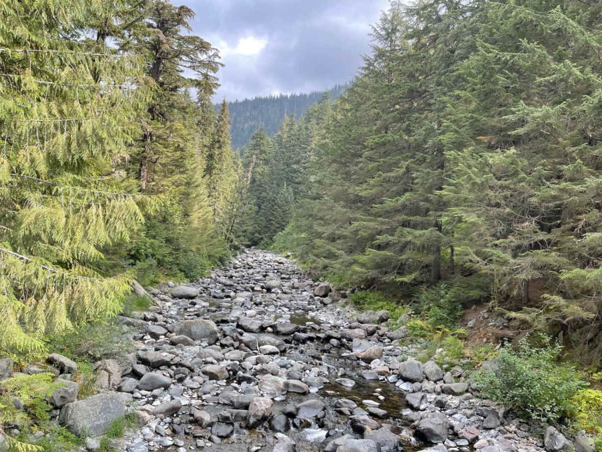 Lightning Creek trail photo