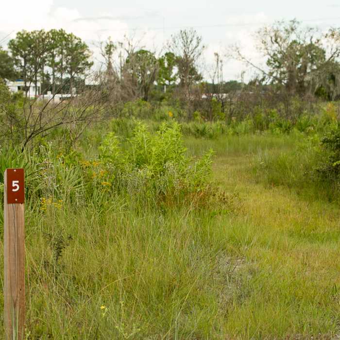 Near Gopher Trail and Persimmon Loop