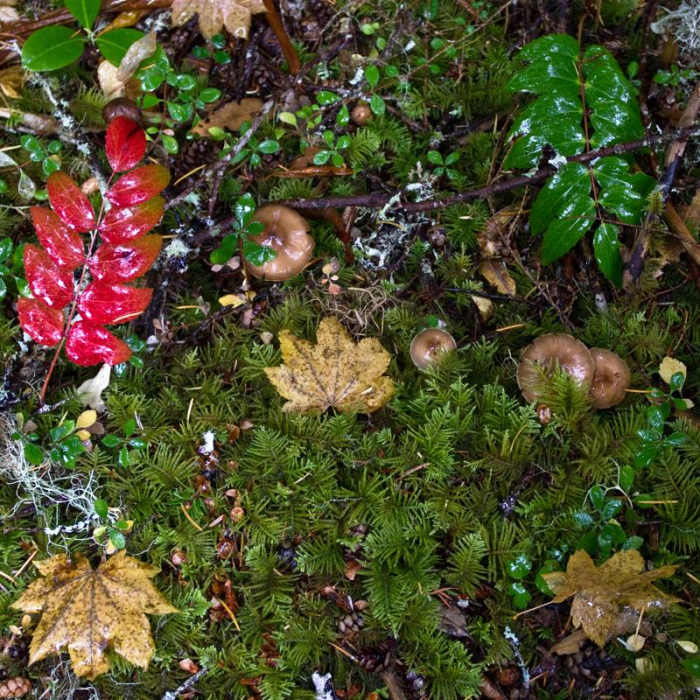 Near Deception Butte Hike