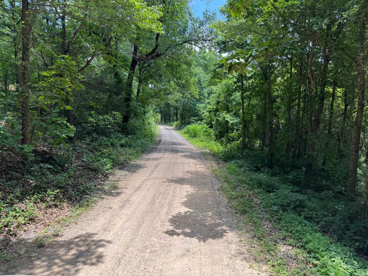 County Road 6291 photo 4