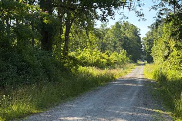 Collins Road - FS 146A