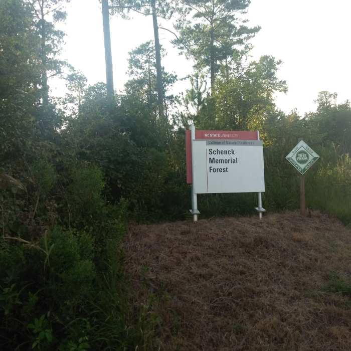 Near Reedy Creek Trail