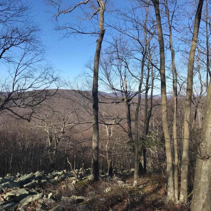 Near Cat Rock Mountain via Old Misery Trail