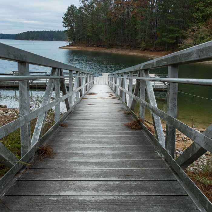 Near Homestead, Sweetgum + White Pine Loop