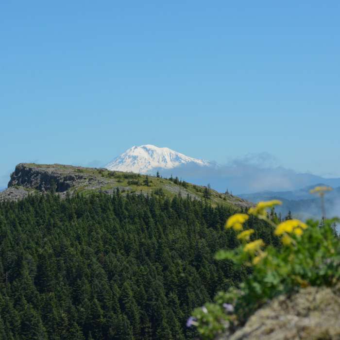 Near Sturgeon Trail #180C