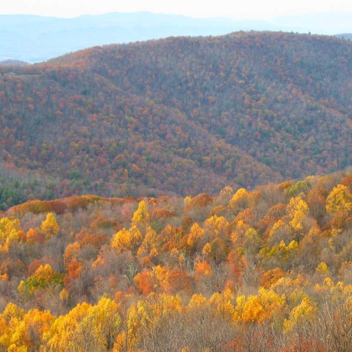 Near Frazier Discovery Trail