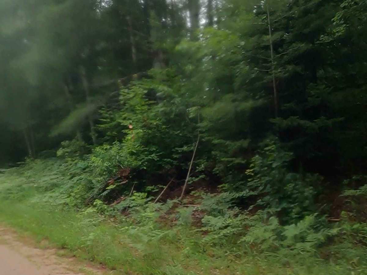 Dump Road photo 3