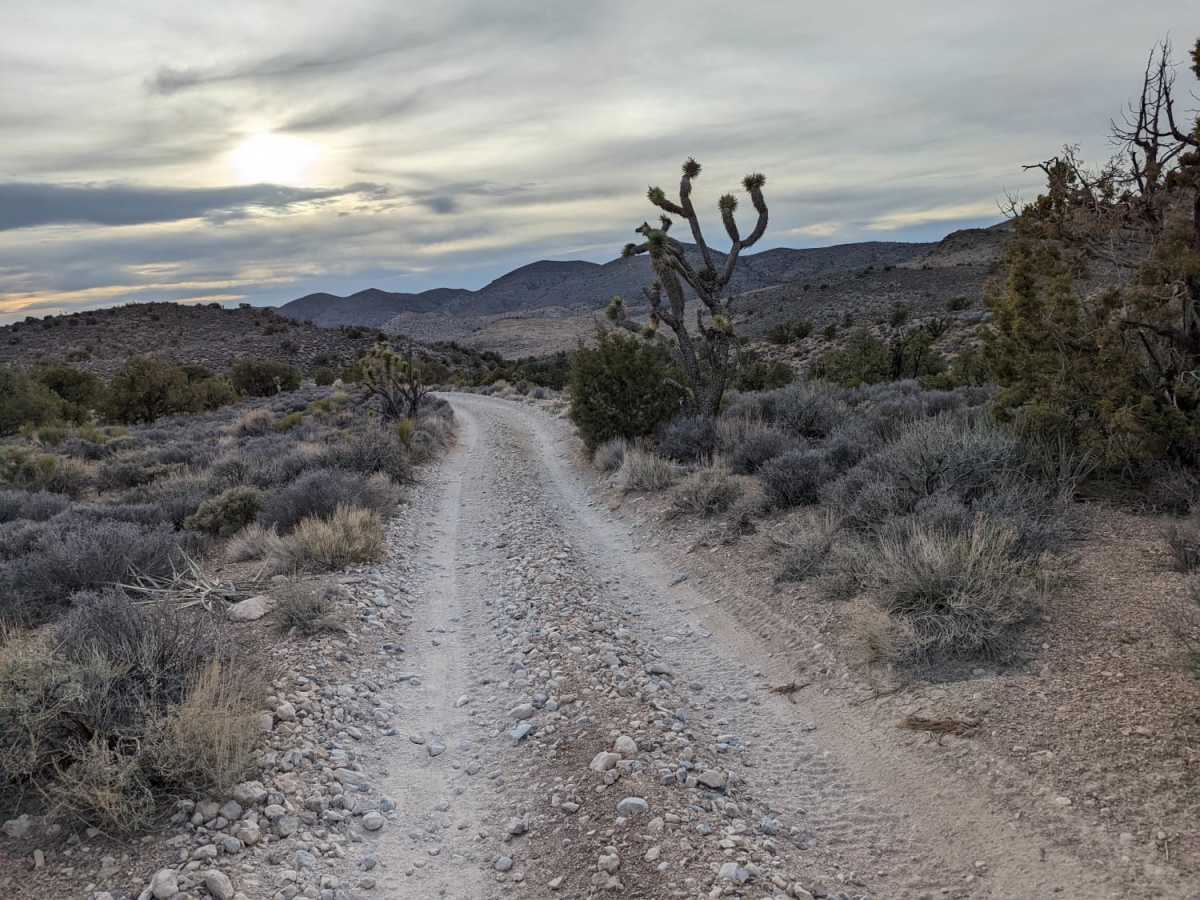 Johnswort Road trail photo