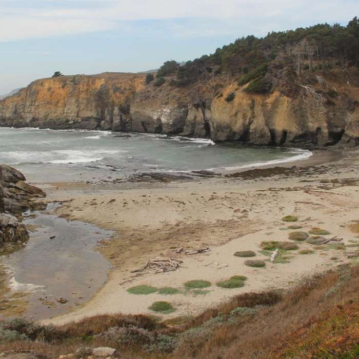 Near Salt Point Trail