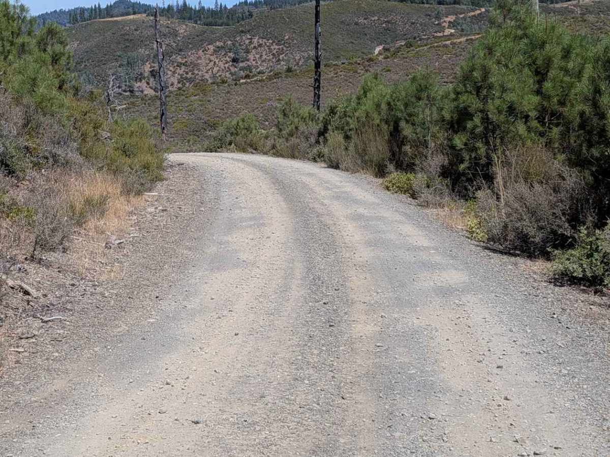 Bridge Gulch Road - FS 31N19  photo 6