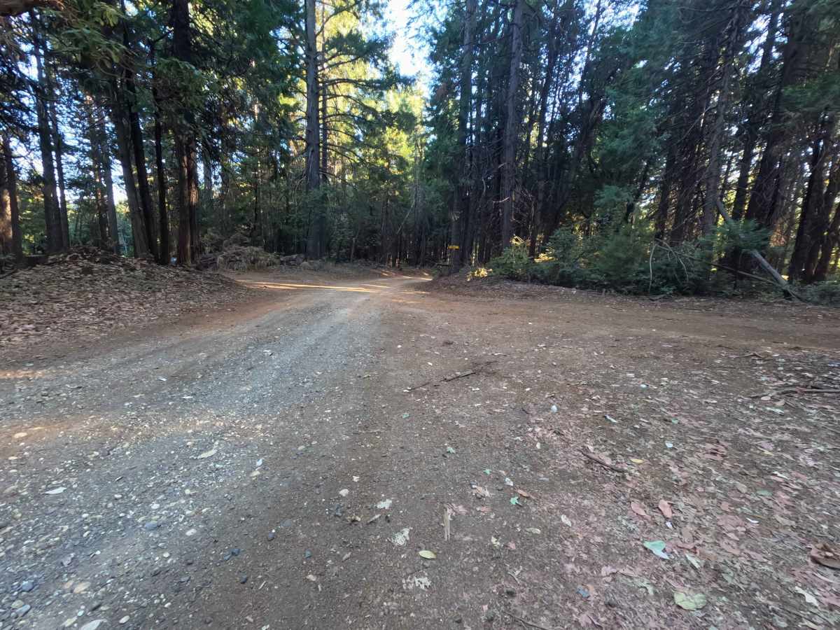 Weed Point - FS 20N14 photo 2