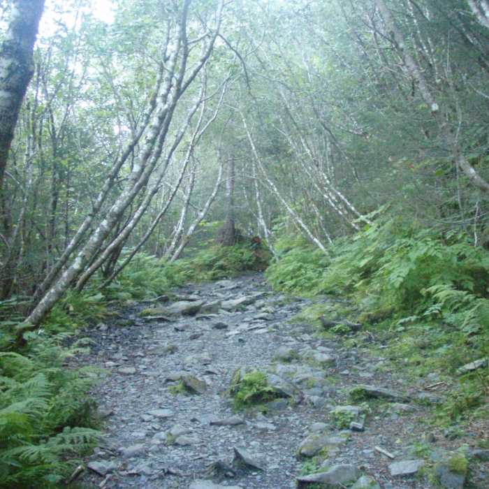 Near Tonsina Beach Hike