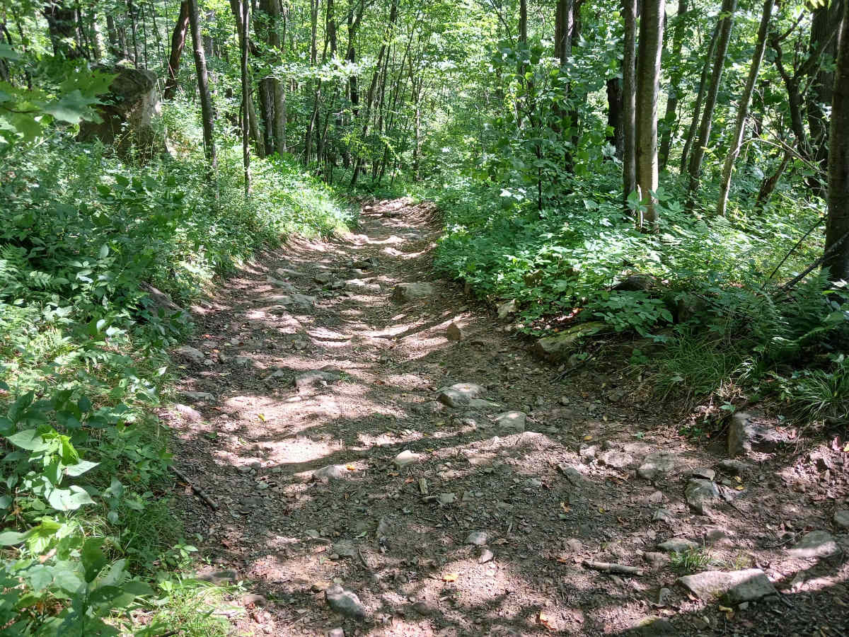 Trail 14B - Rock Run Recreation Area photo 6