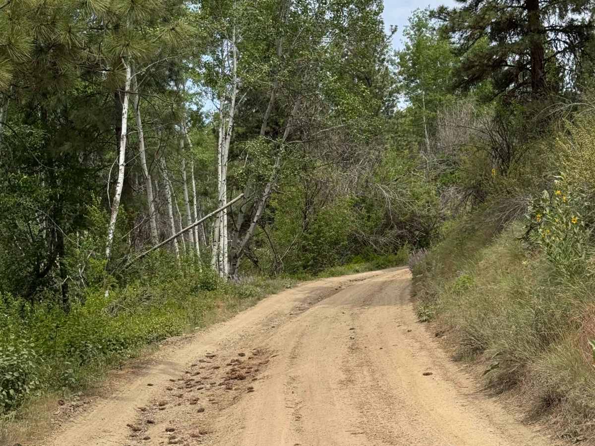 Cooper Mountain Road Southwest - FS 8020 photo 5