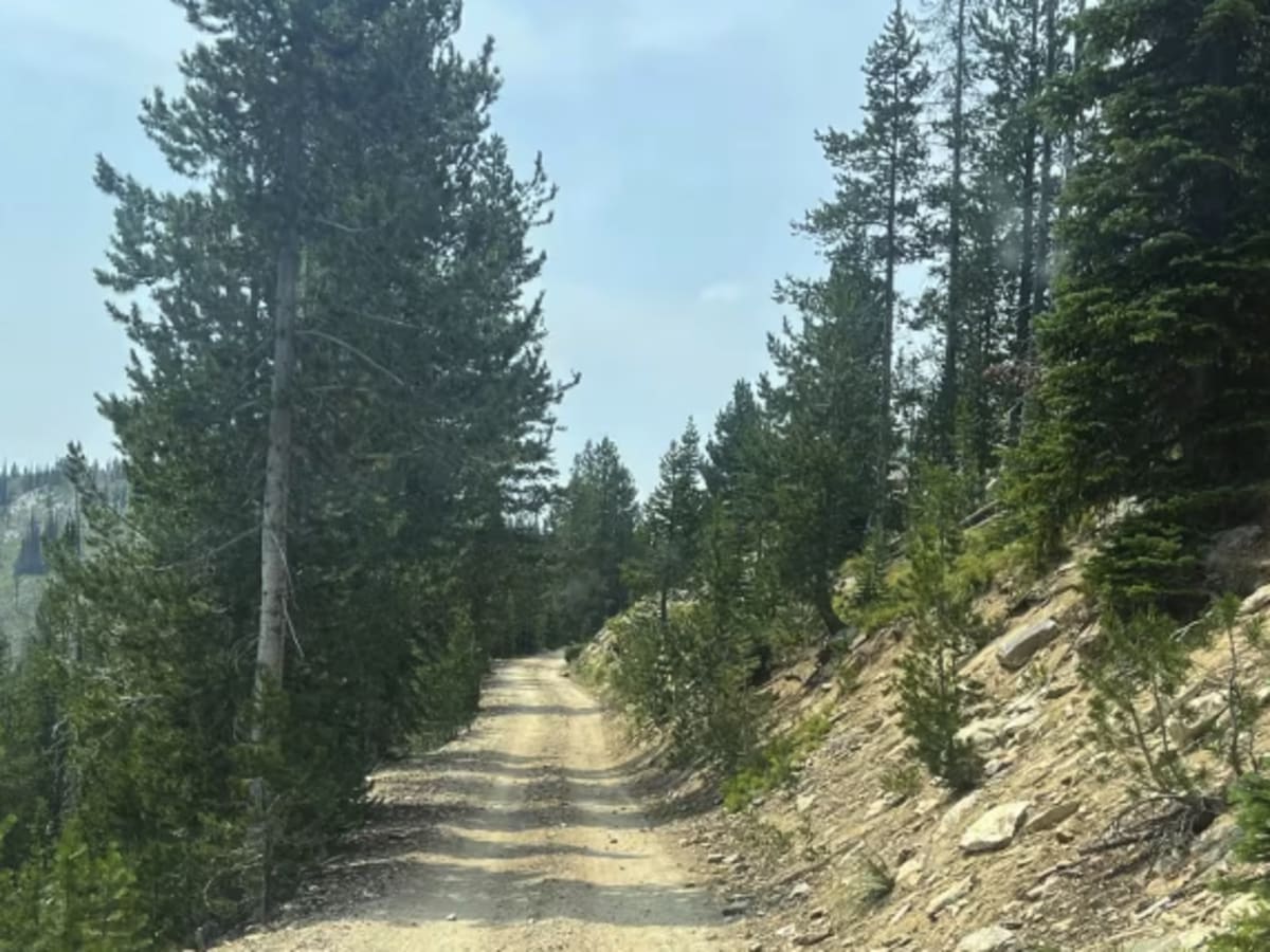 Cottontail Point Road photo 5