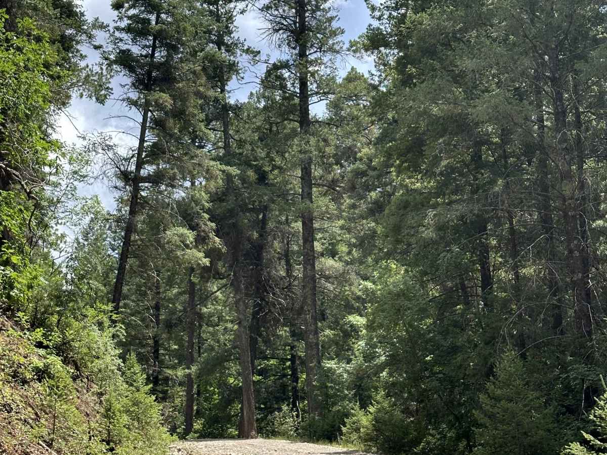 Karr Canyon photo 4
