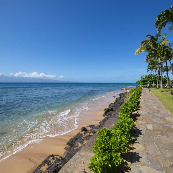 Near Ka'anapali Beachwalk Near Ka'anapali Beachwalk