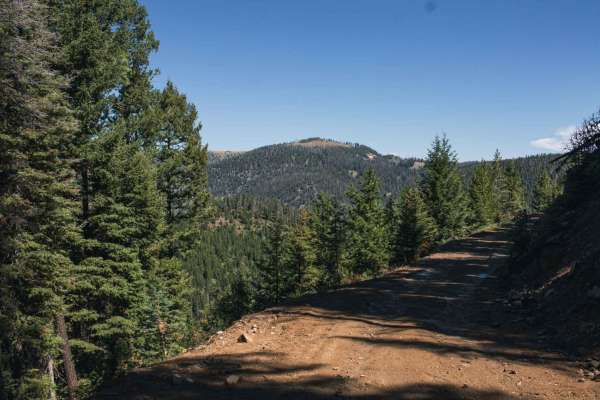 Bison Mountain