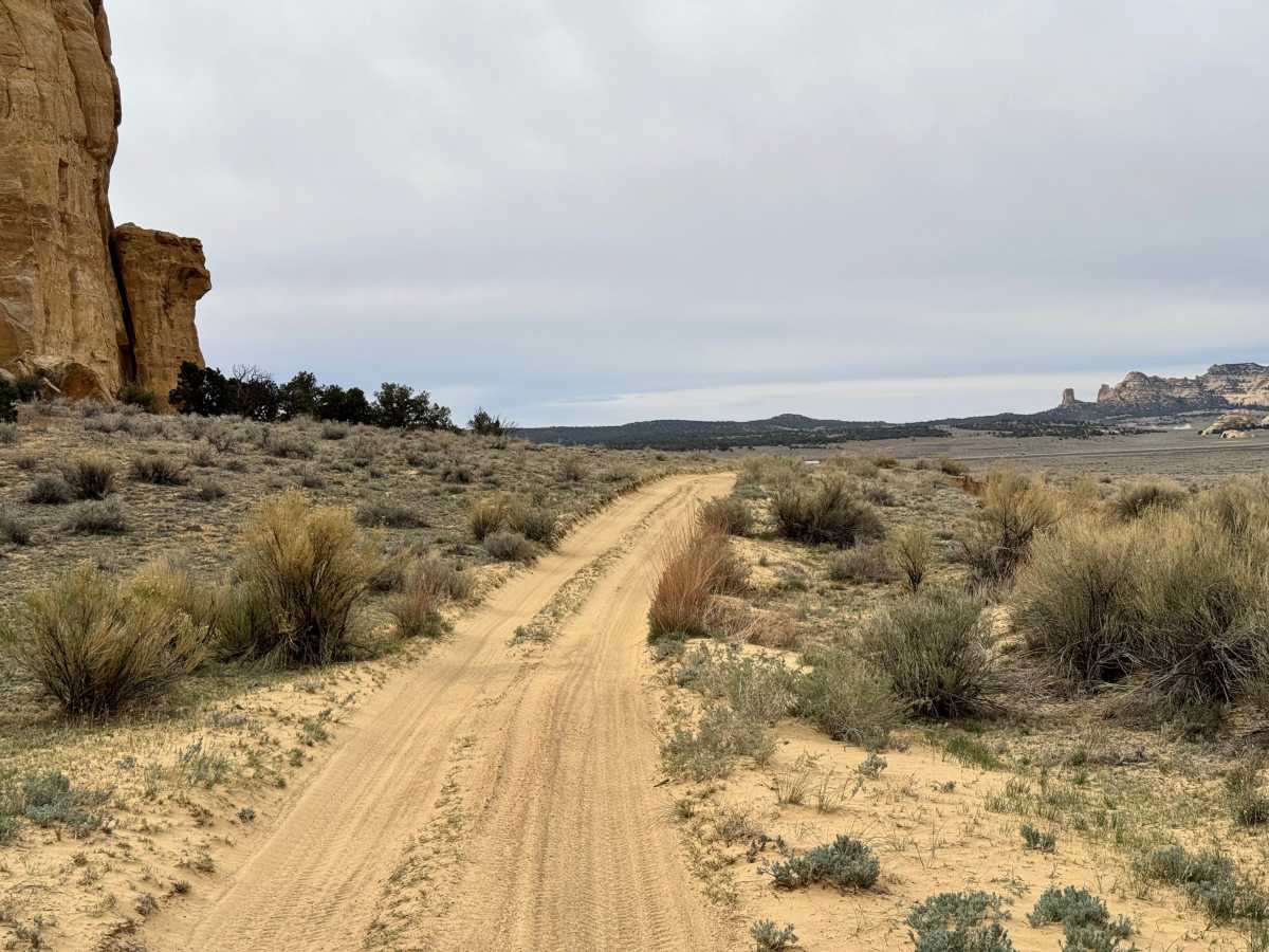 County Road 3630 photo 4