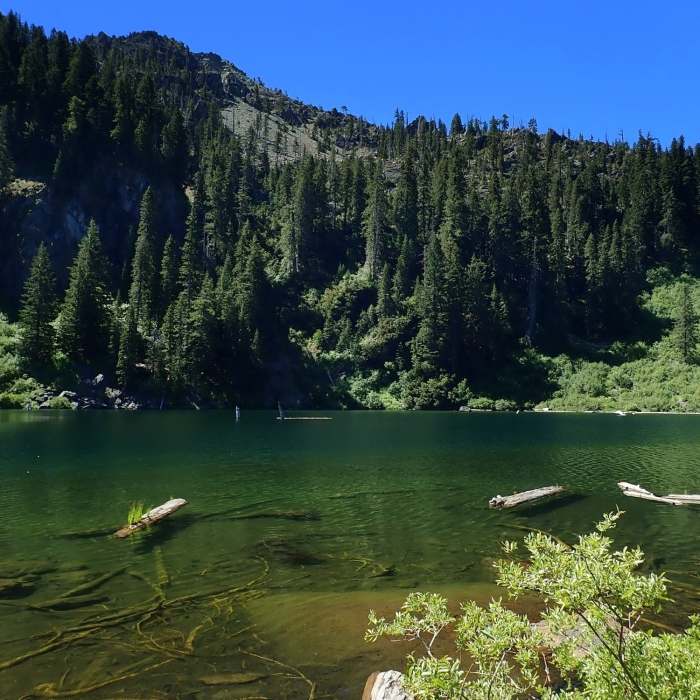 Near Preston Peak Spur Trail