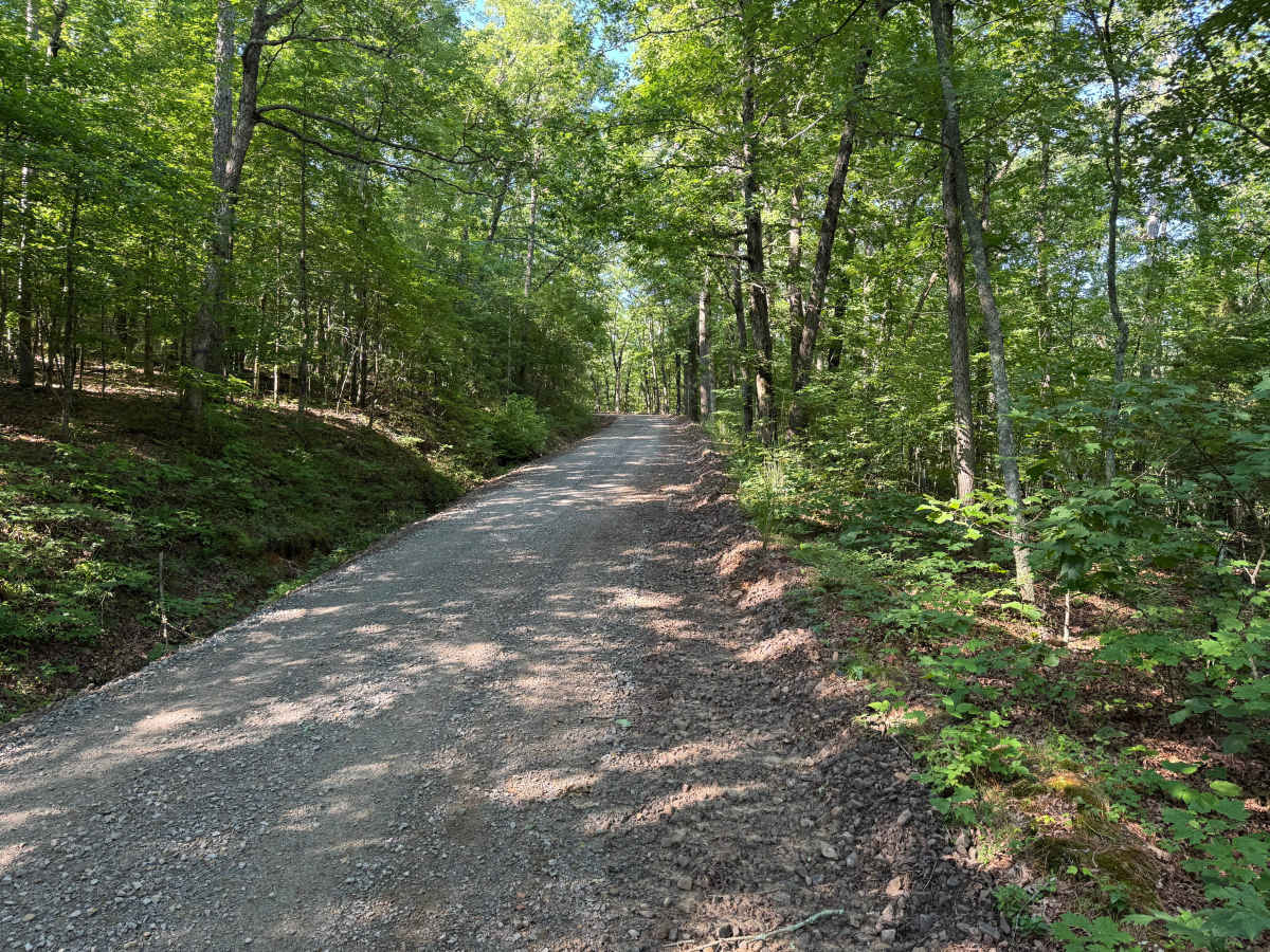 Ashlock trail photo