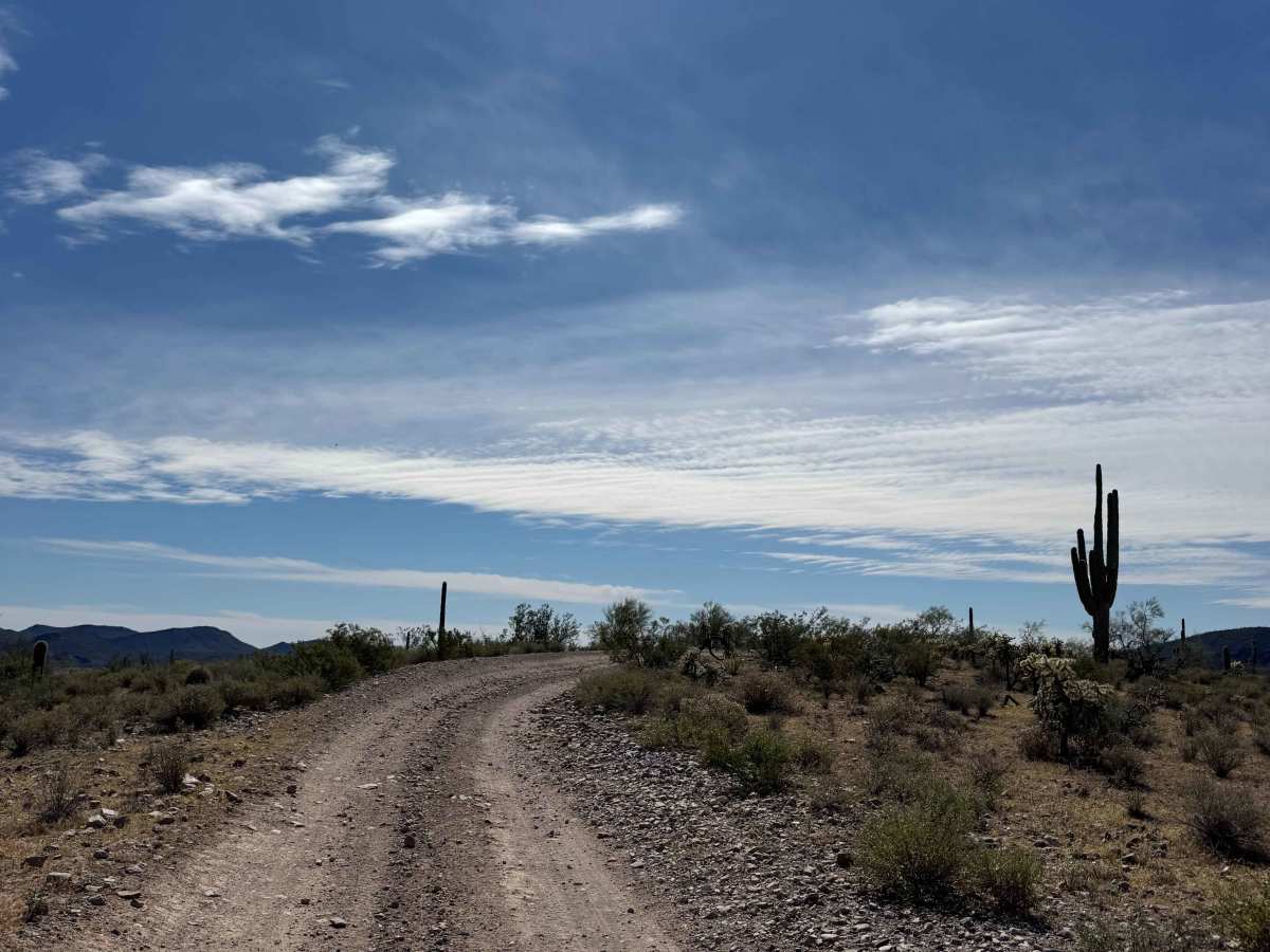 HeeHaw Trail trail photo