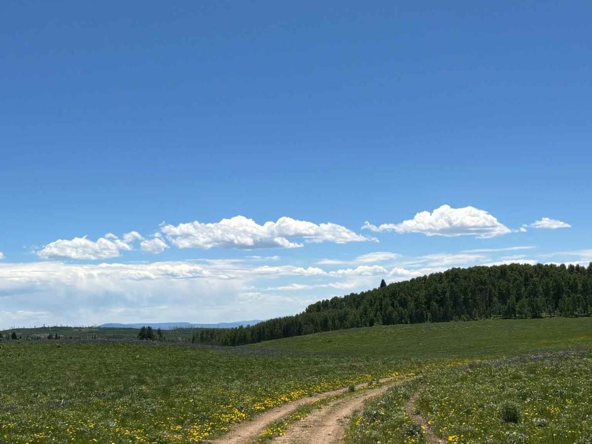 Buttermilk Road photo 3