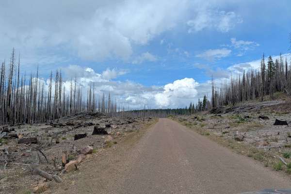 Pumice Mountain East - FS 43N15