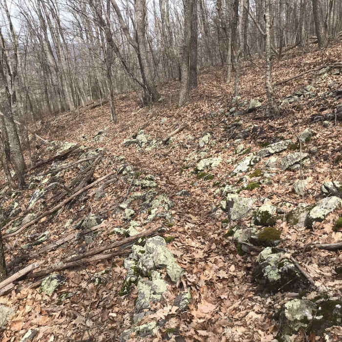Near Back Draft Trail #546
