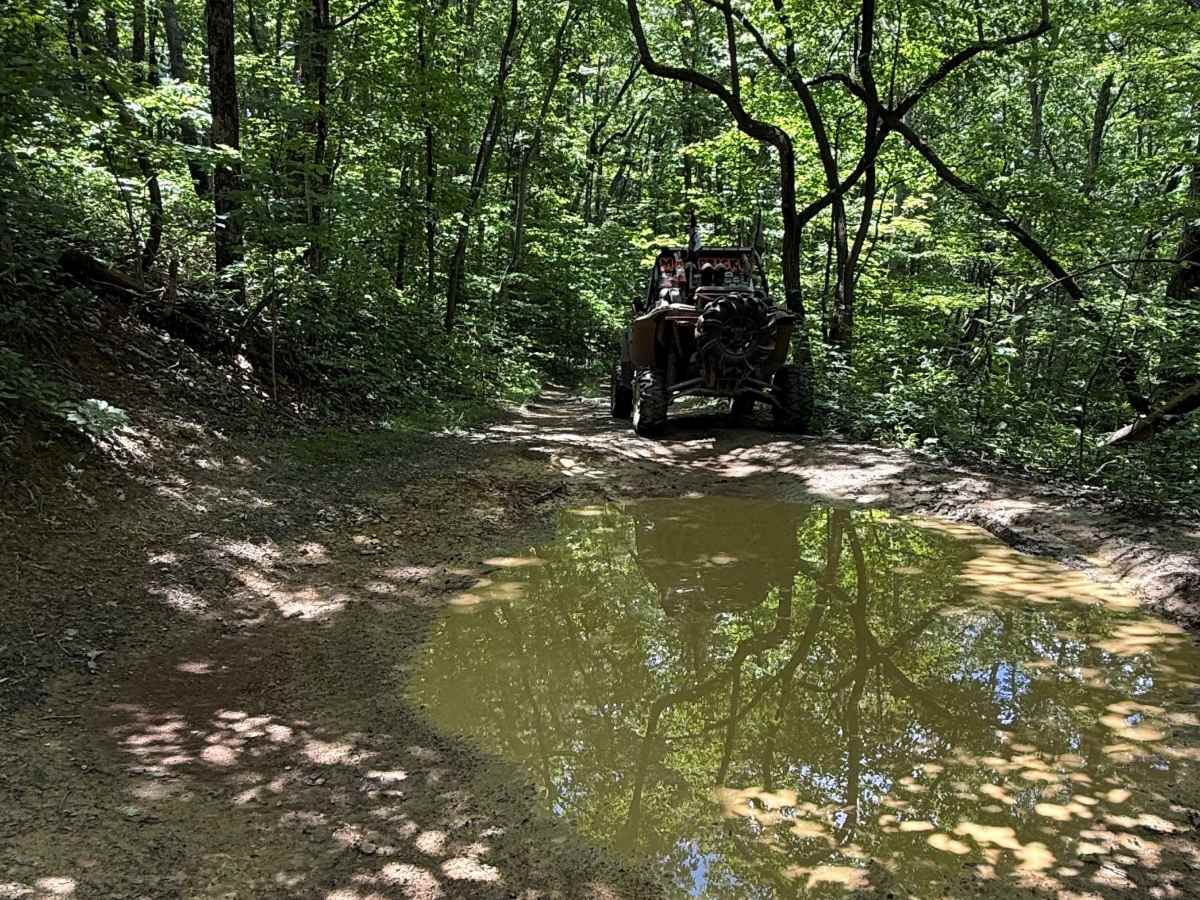 Mountain Fork trail photo