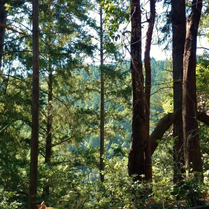 Near Truck Trail