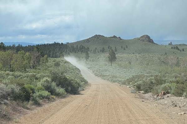 Dobie Meadows Road South