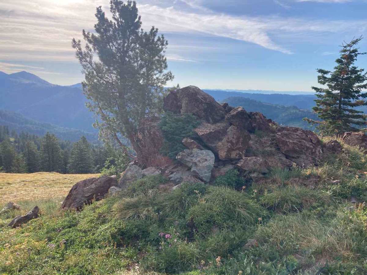 Horse Mountain Fire Lookout photo 3