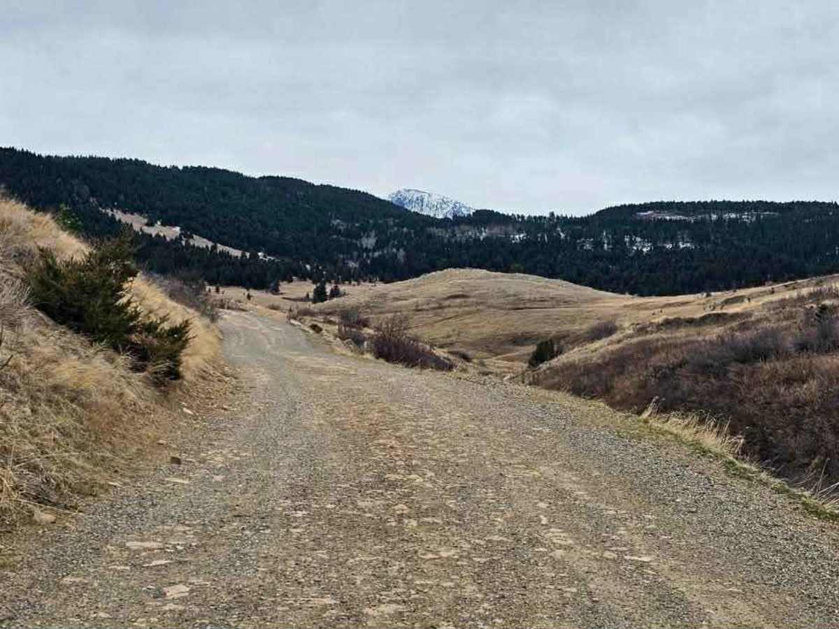 Livingston Peak Road photo 4