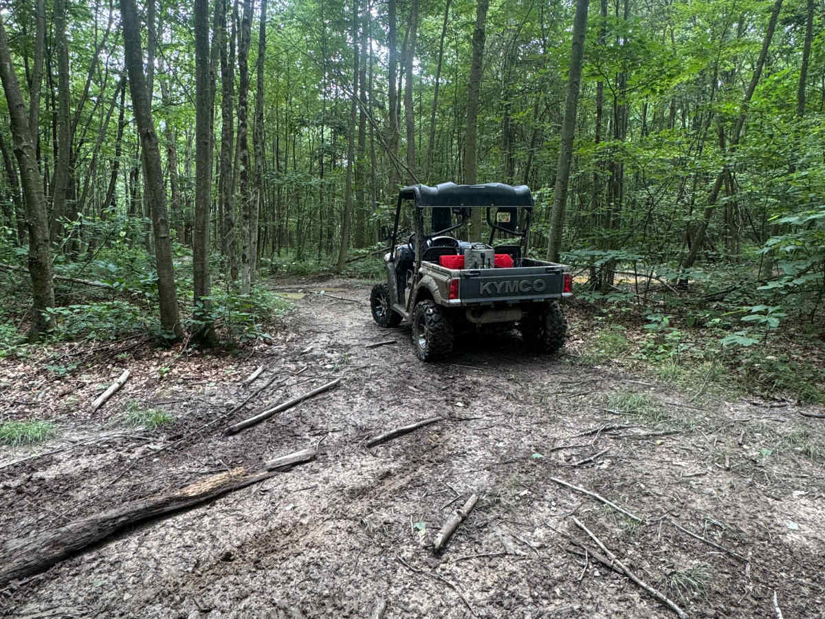 Trail 81 trail photo