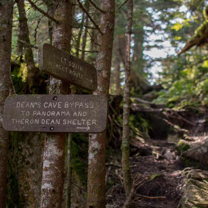Near Theron Dean Shelter via the Long Trail