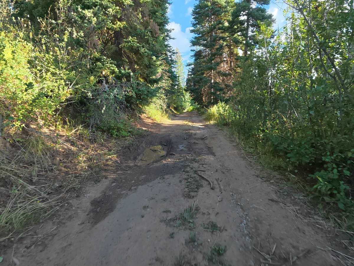 Ogden Place Road - FS 820 photo 5