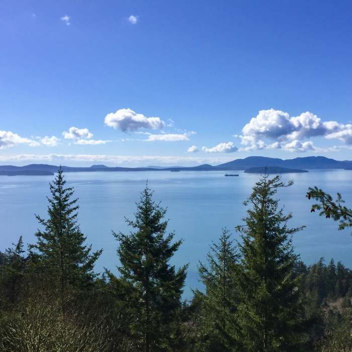 Near Ocean Viewpoint Spur