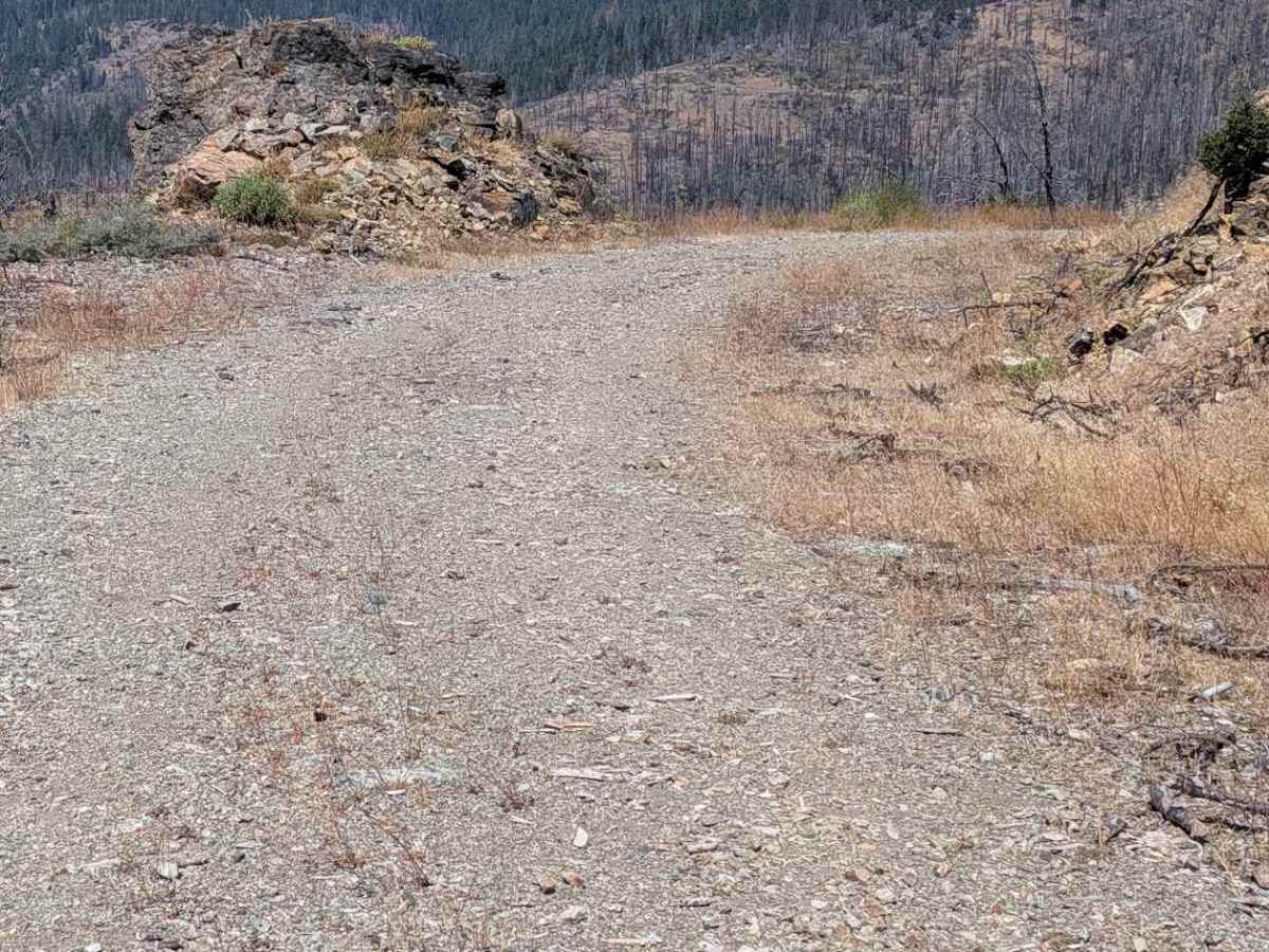 Smoky Road - FS 29N76 trail photo
