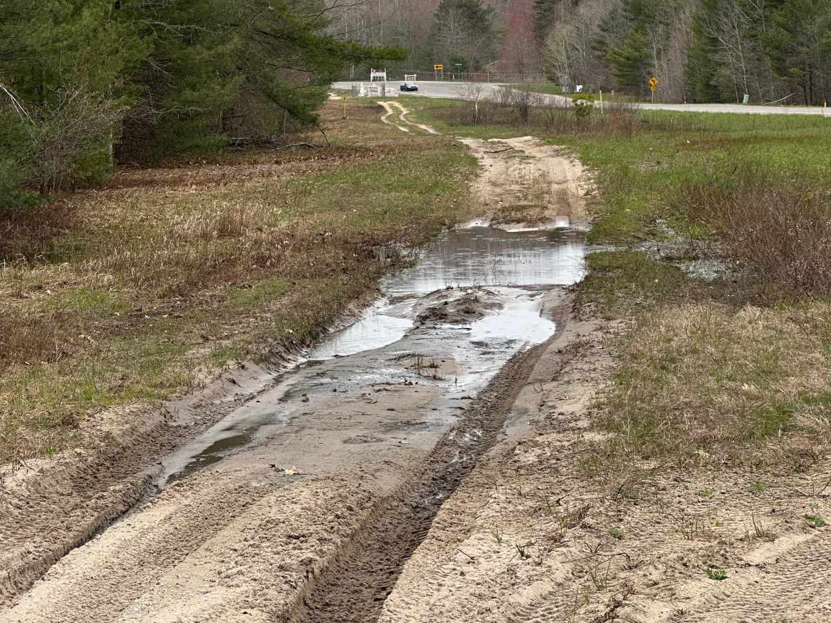 Pipeline Track photo 5