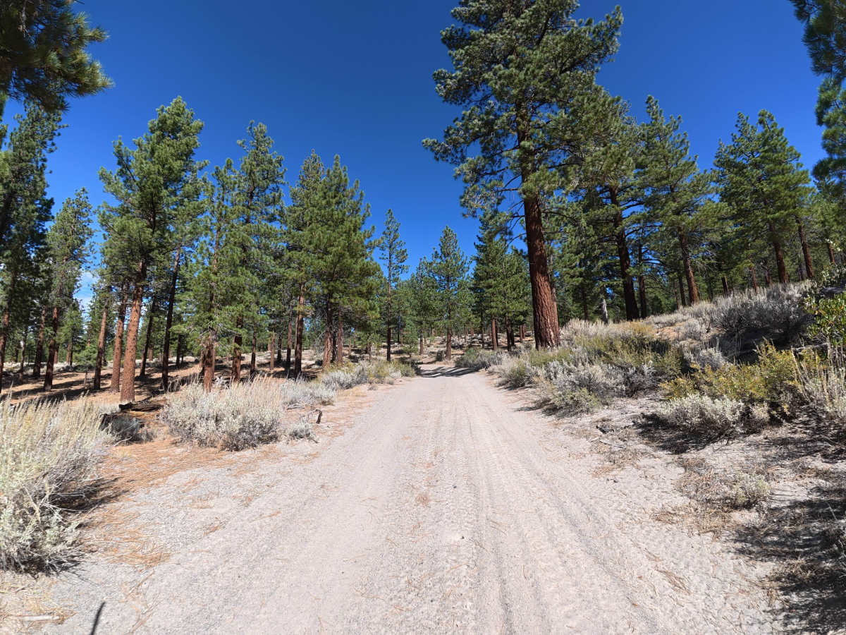 Lookout Loop photo 4