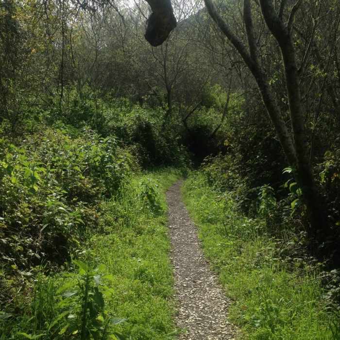 Near Coon Creek Trail